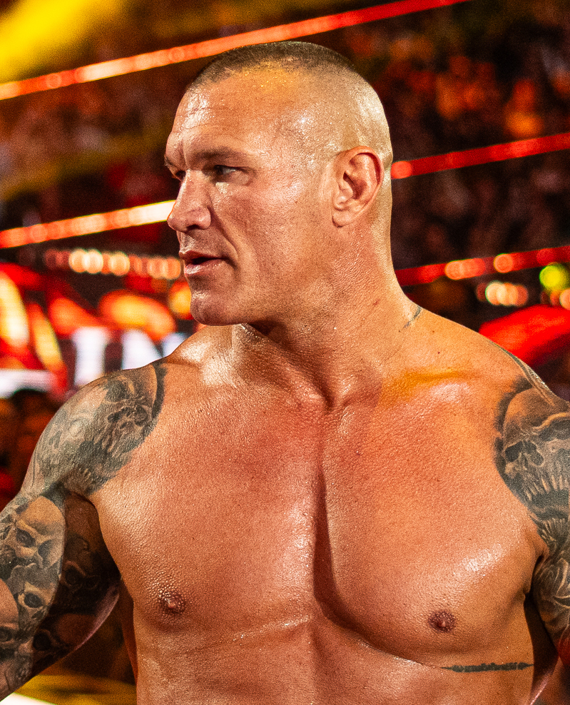 Randy Orton portrait
