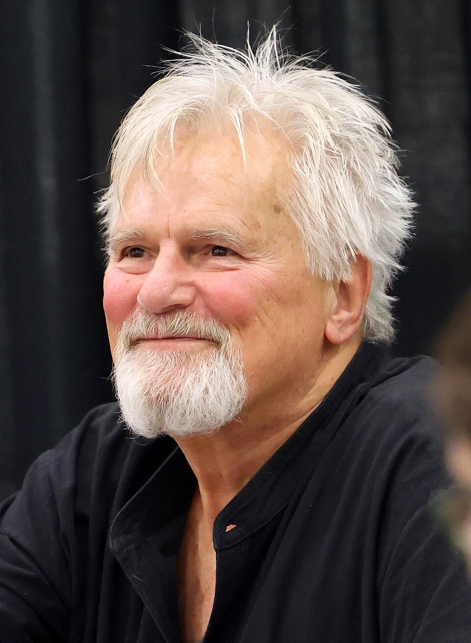 Richard Dean Anderson portrait