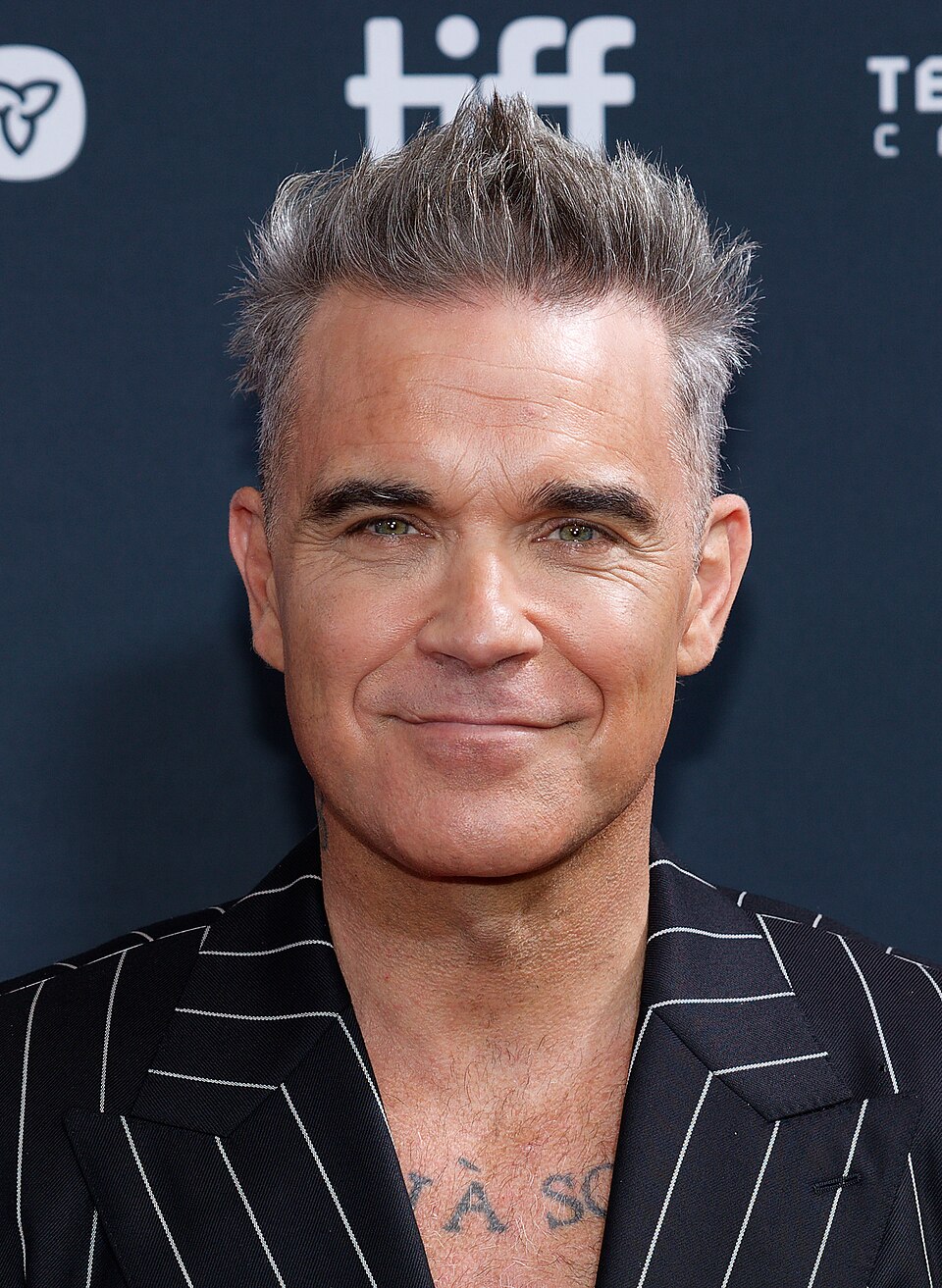 Robbie Williams portrait
