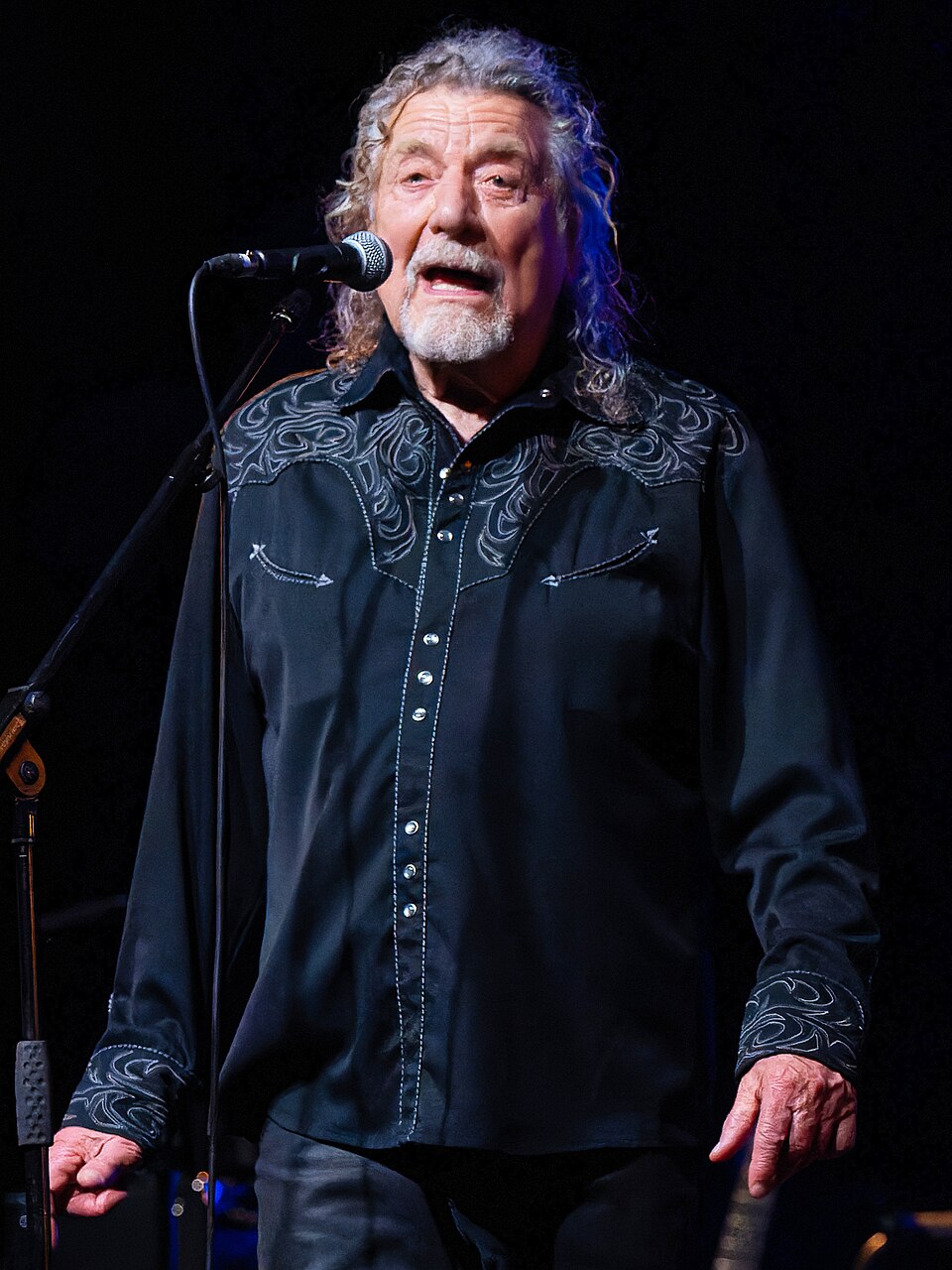 Robert Plant portrait