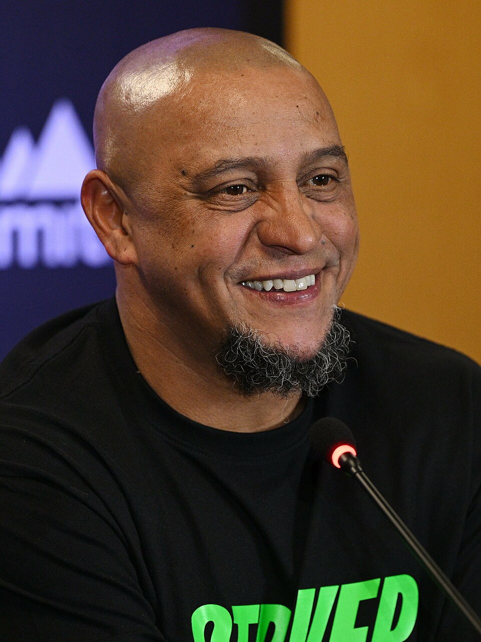 Roberto Carlos portrait