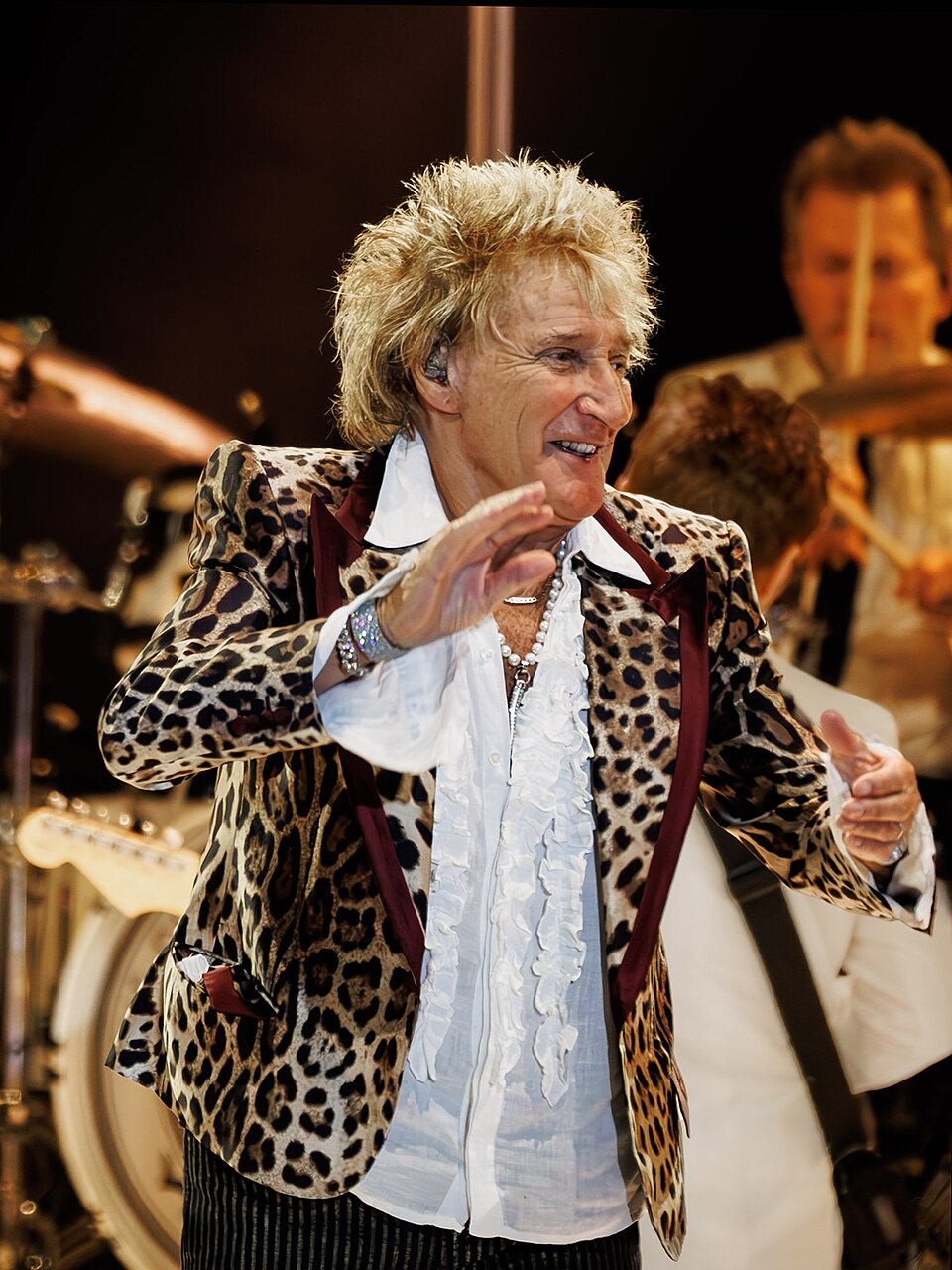 Rod Stewart portrait