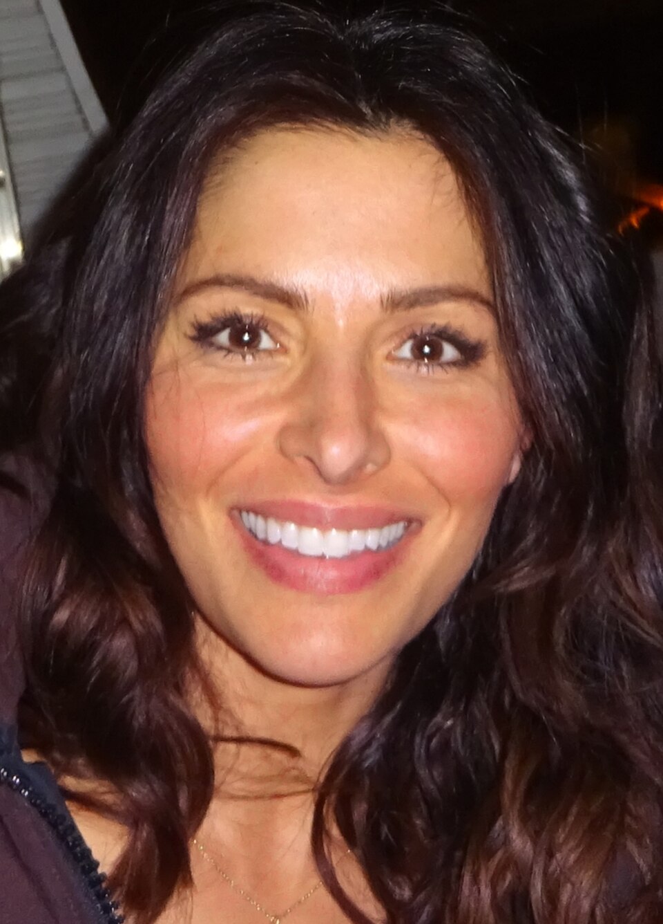 Sarah Shahi portrait