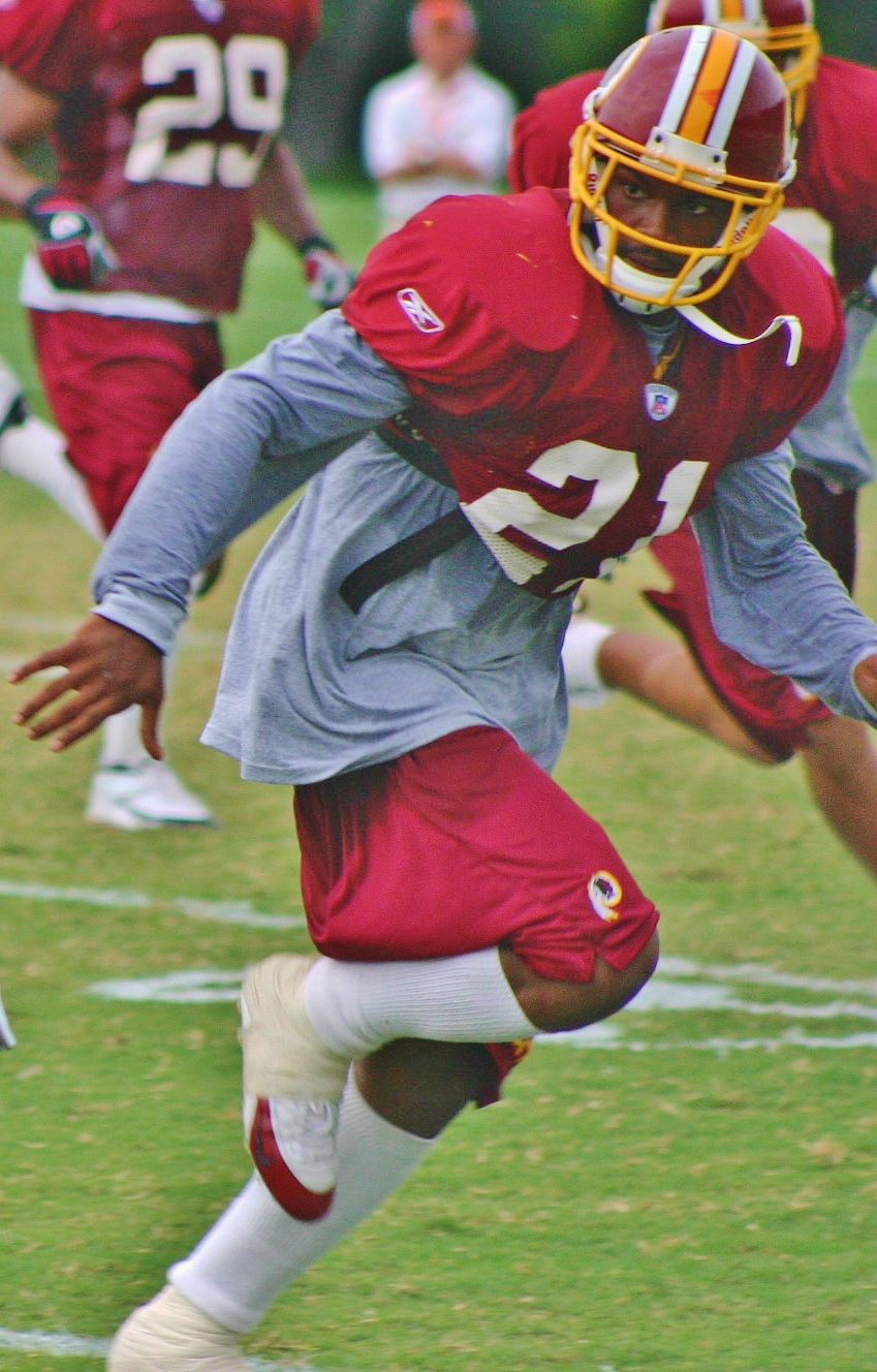Sean Taylor portrait
