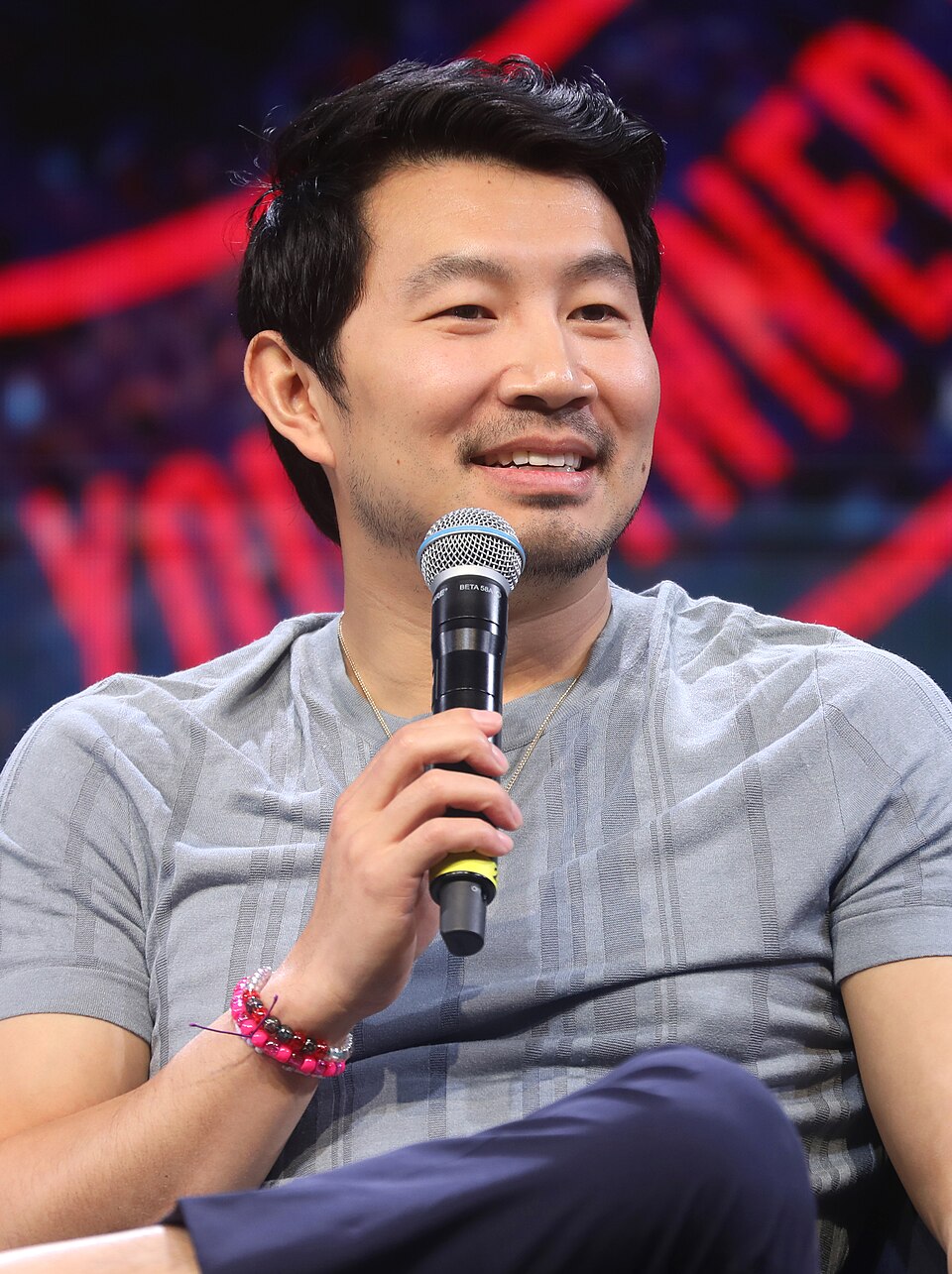 Simu Liu portrait