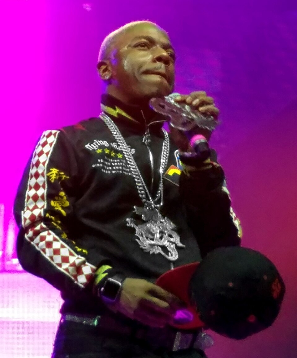 Sisqo portrait