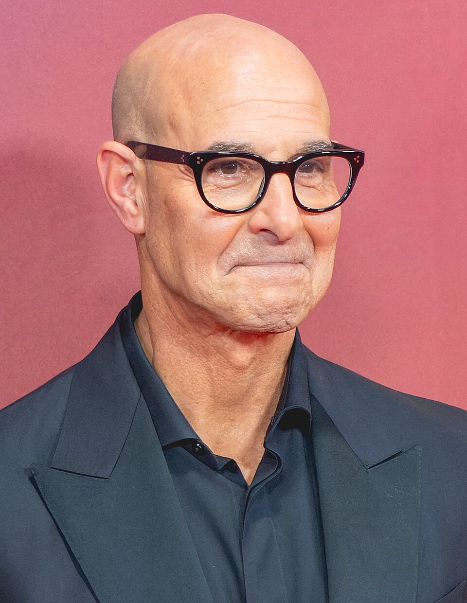 Stanley Tucci portrait
