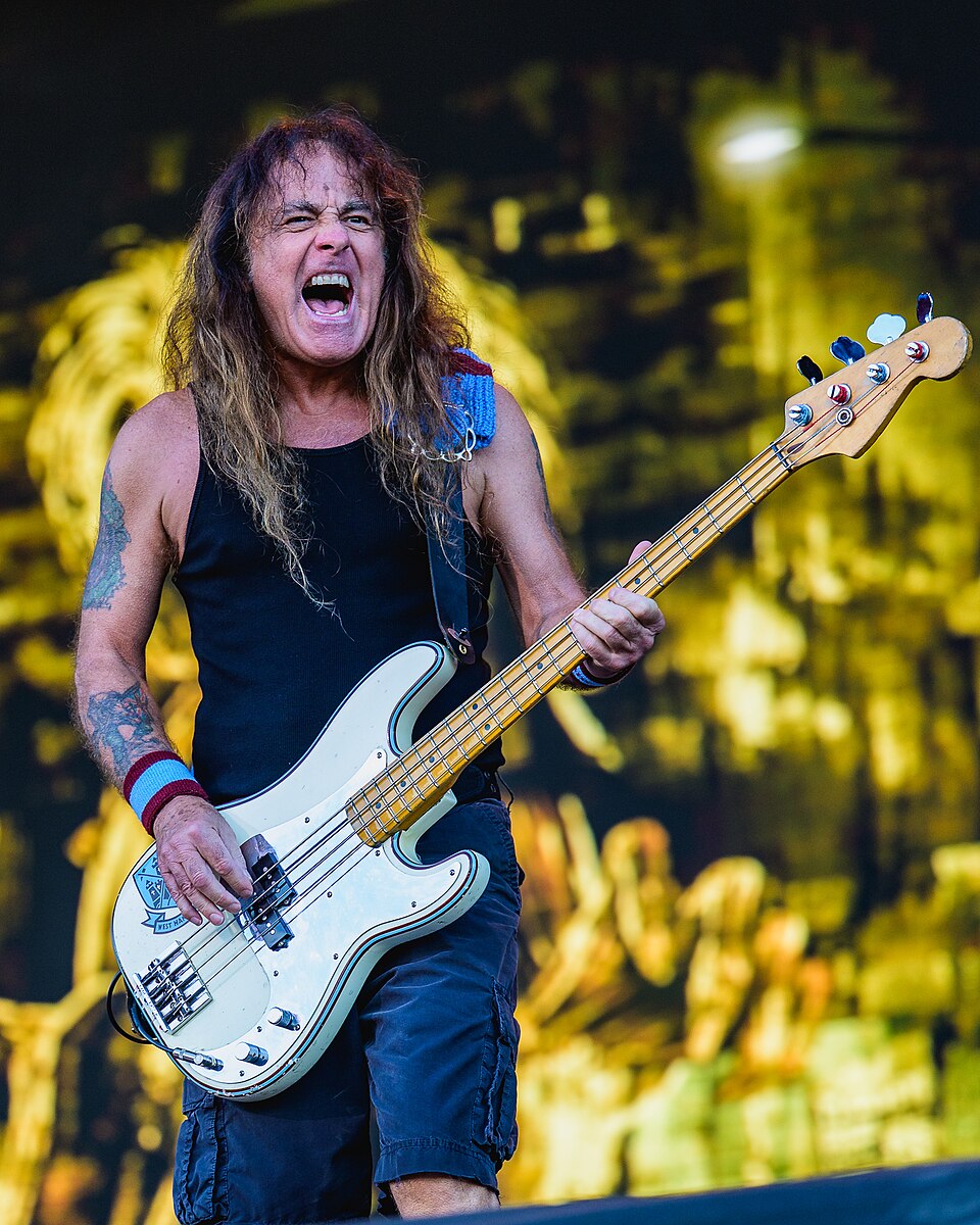 Steve Harris licensed portrait