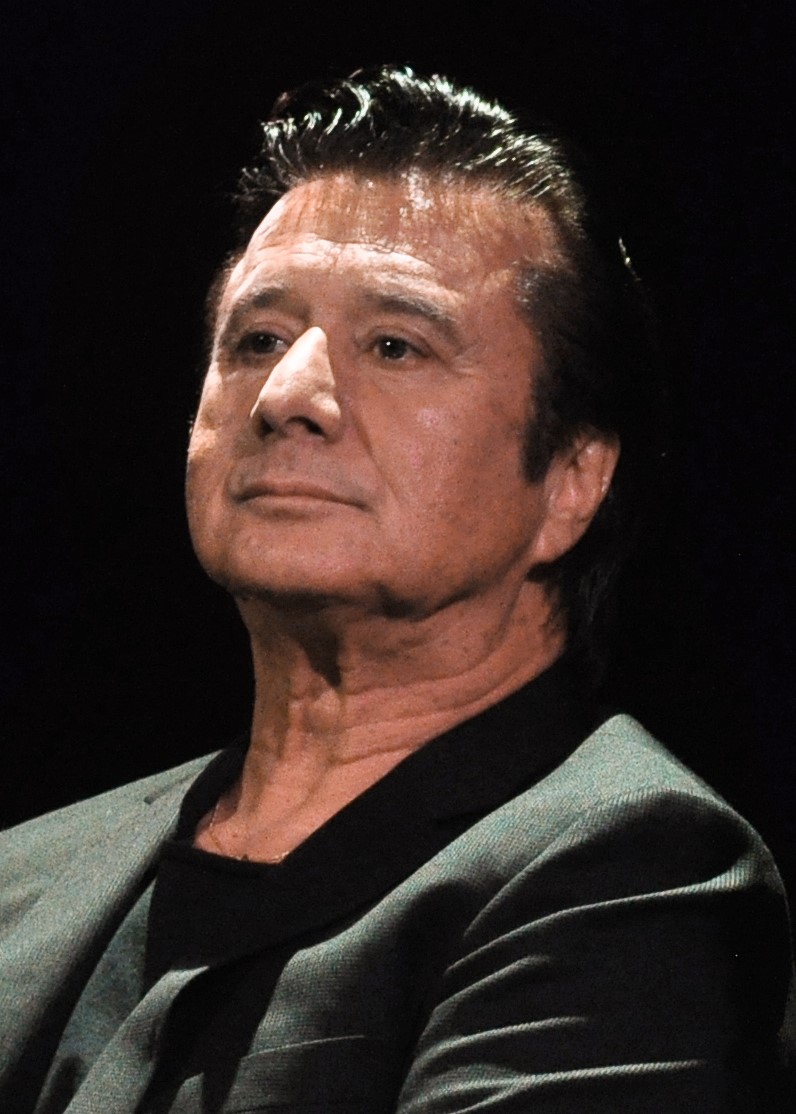 Steve Perry portrait