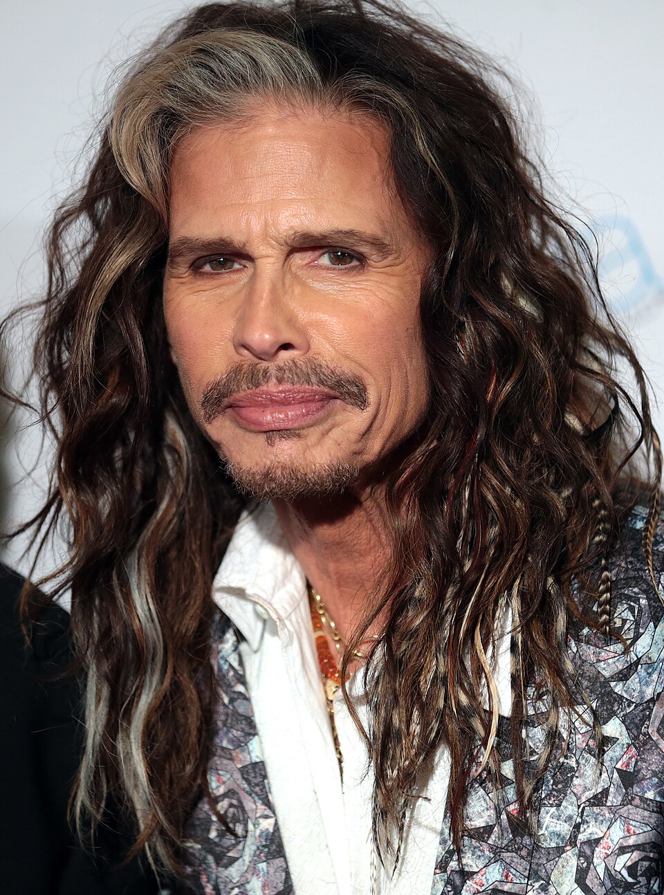 Steven Tyler portrait