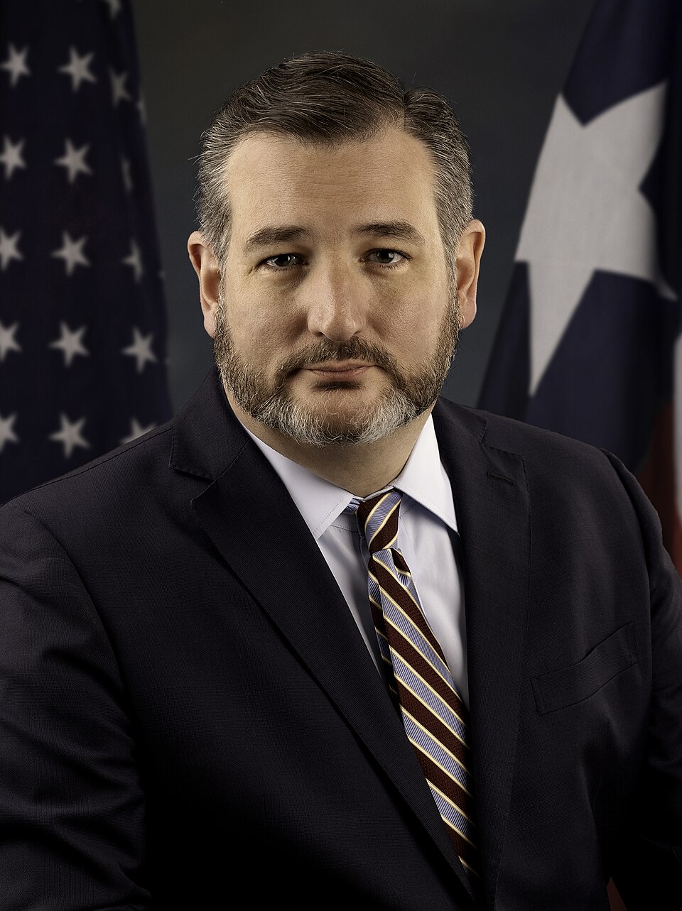 Ted Cruz portrait