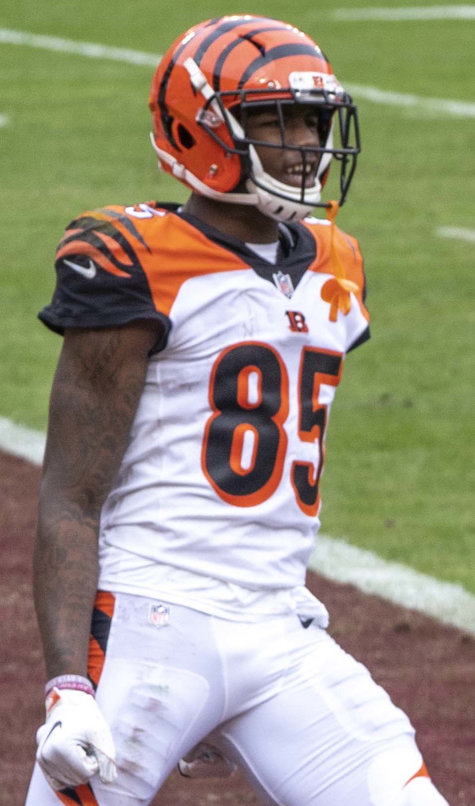 Tee Higgins portrait