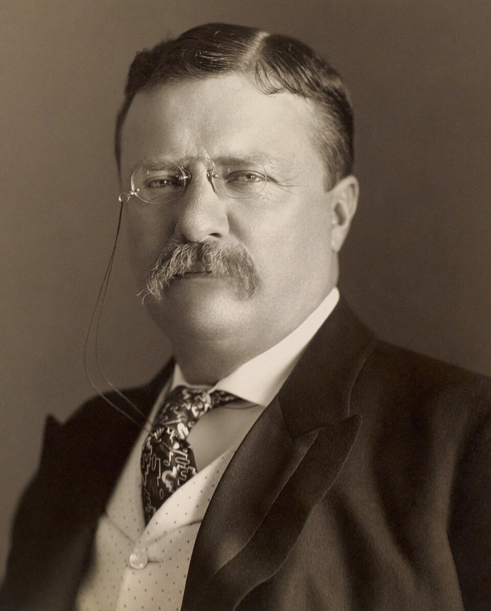 Theodore Roosevelt portrait