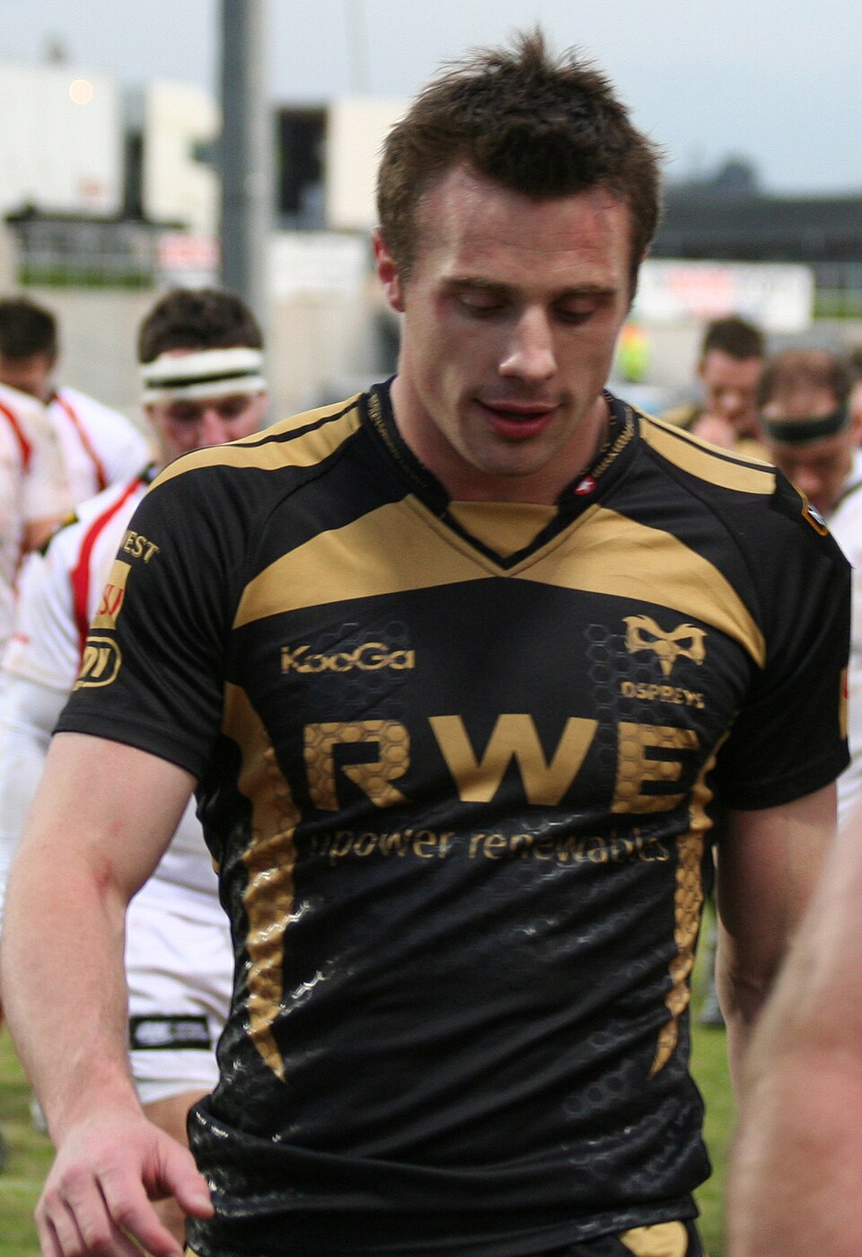 Tommy Bowe portrait