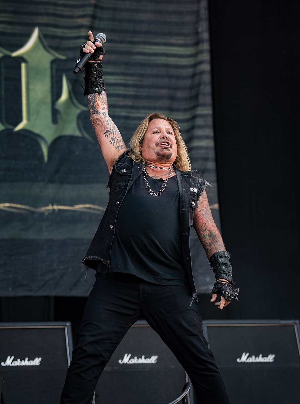 Vince Neil portrait