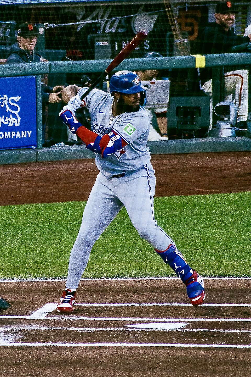 Vladimir Guerrero Jr. portrait