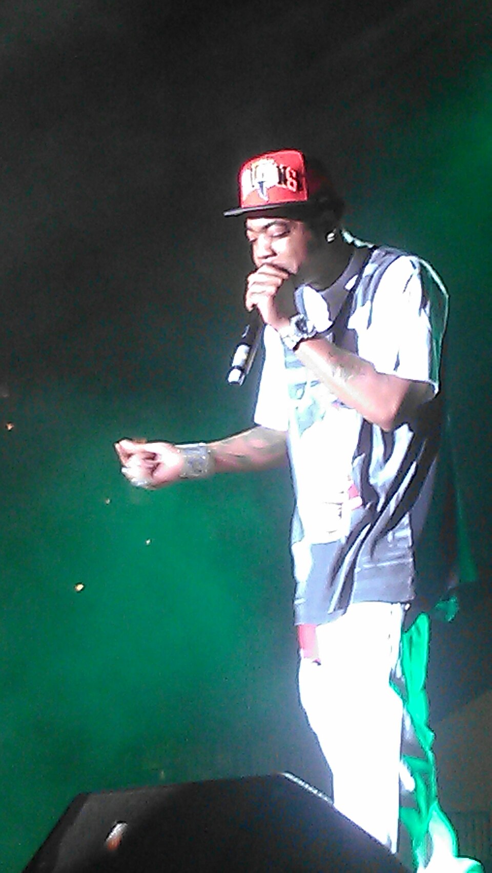 Webbie portrait