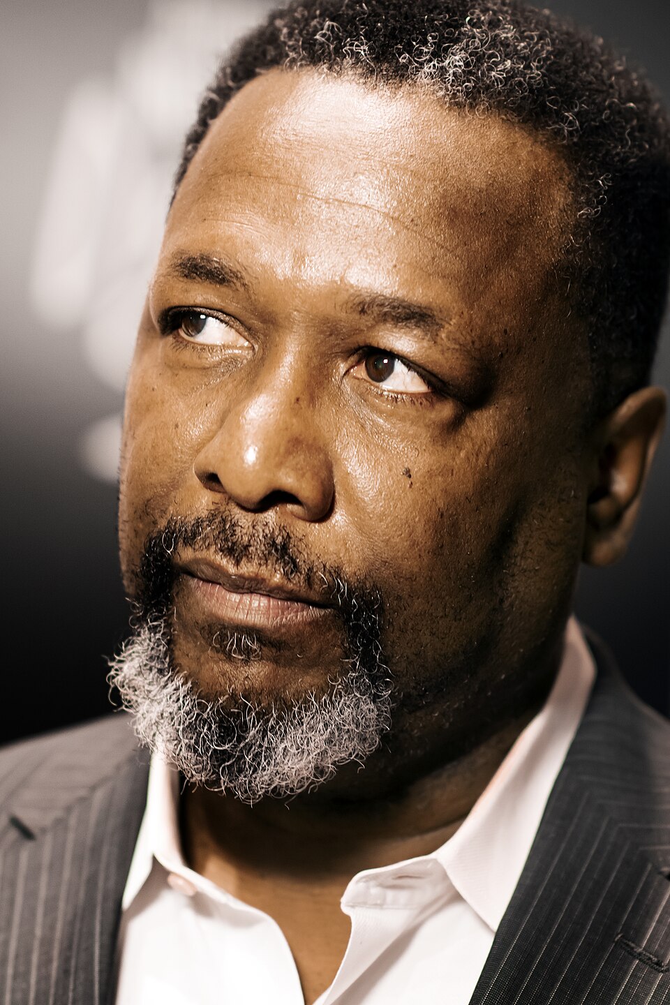 Wendell Pierce portrait