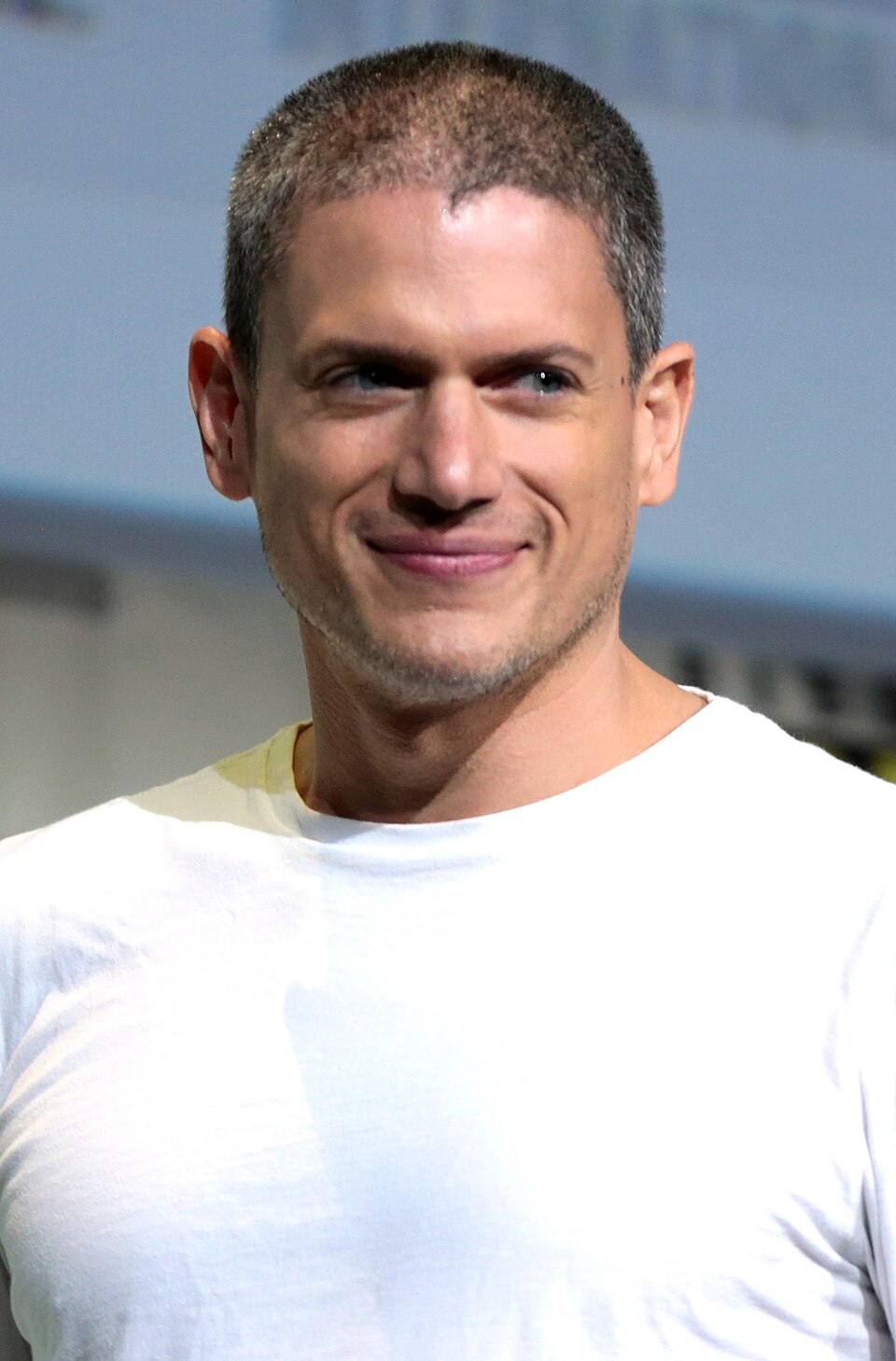 Wentworth Miller portrait