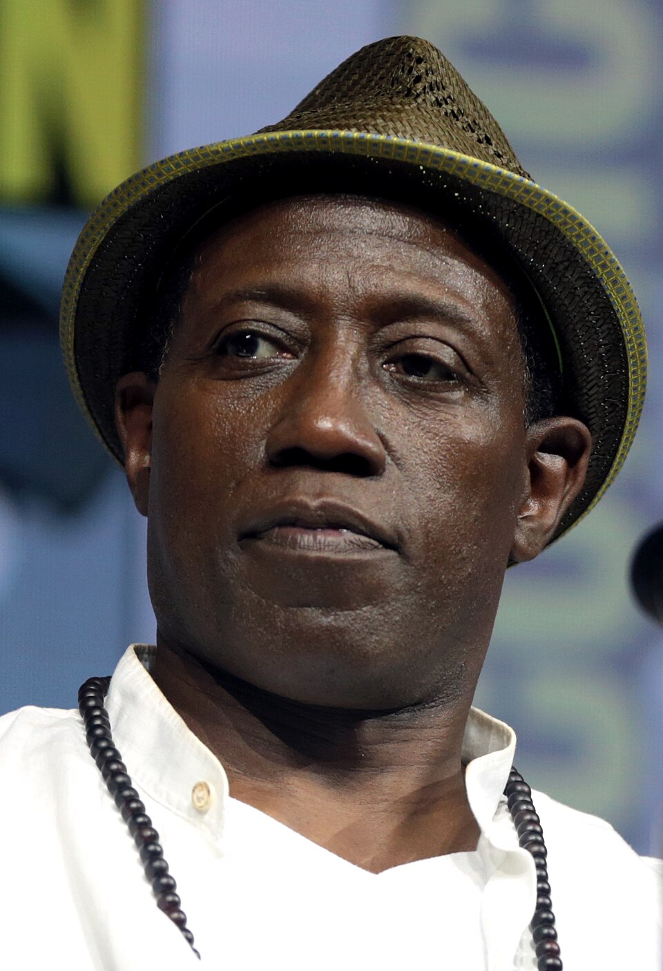 Wesley Snipes portrait