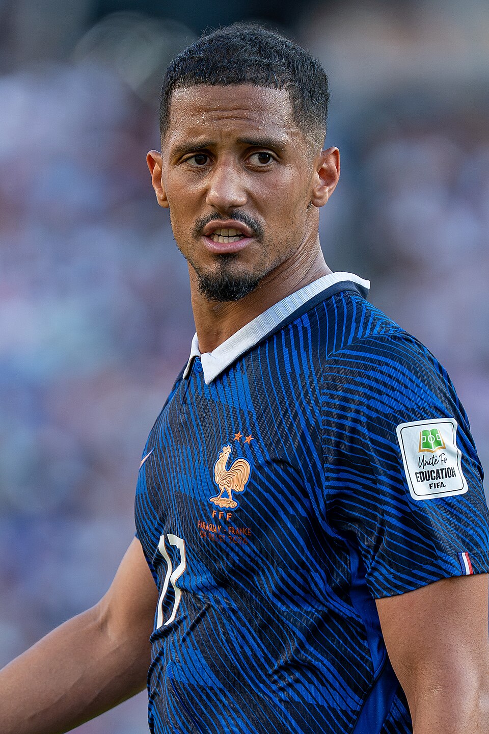 William Saliba portrait