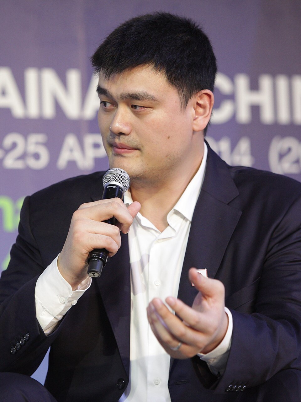 Yao Ming portrait