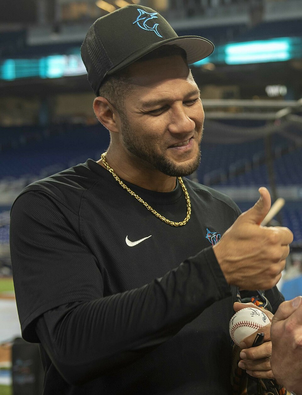 Yuli Gurriel portrait