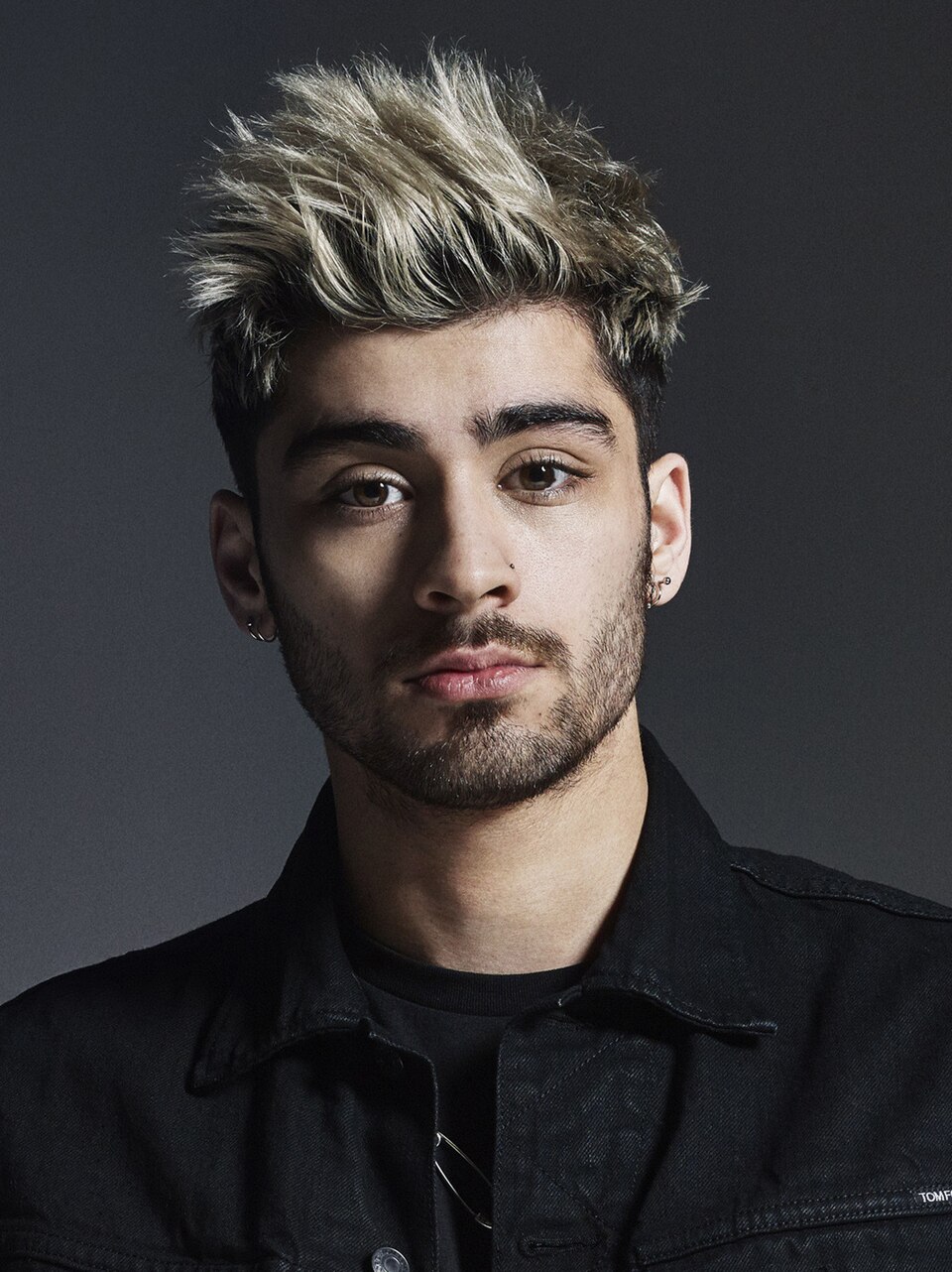 Zayn Malik portrait